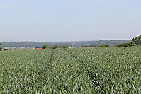 Seebach 2012